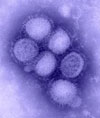 H1N1 virus